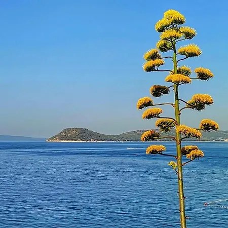 Apartman Marija Mimice