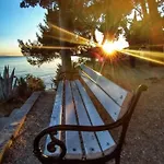 Marija * Mimice